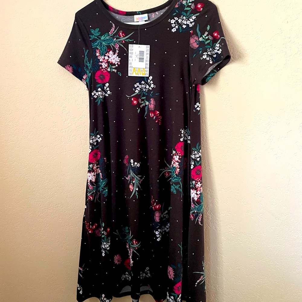 **NWT** size XXS LuLaRoe Jessie swing dress, has pockets!!